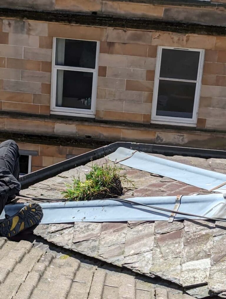 a roofer cleans grass from a tenement roof