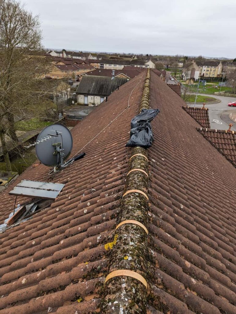 Full bin bags sit on the apex of a newly cleaned tenement roof